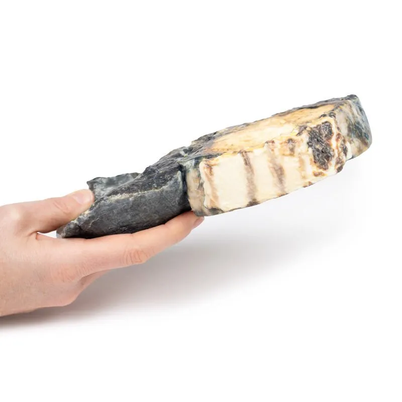 3D Printed Metastatic Tumour in Lung from Primary Testicular Cancer