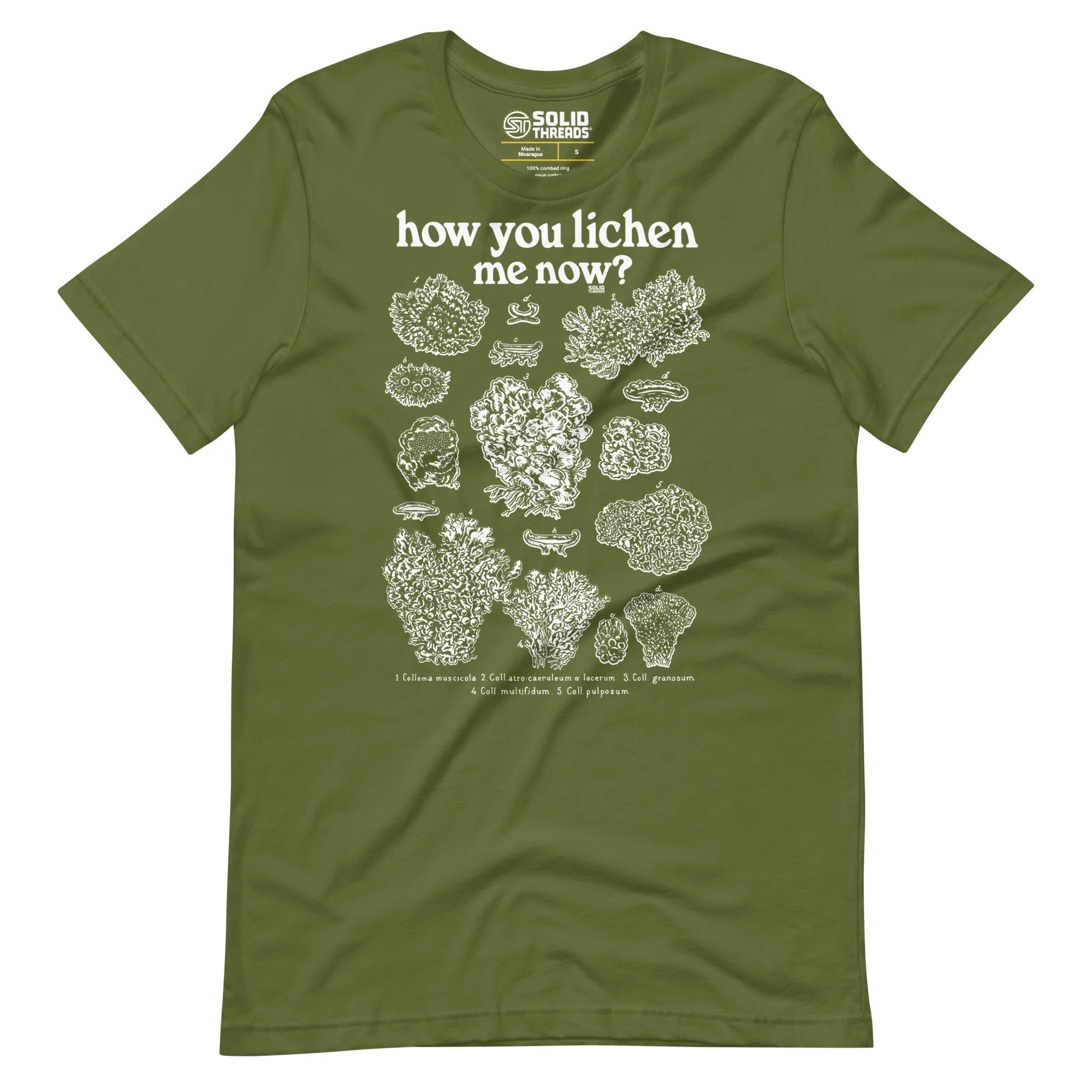 How You Lichen Me Now Soft Style T-Shirt
