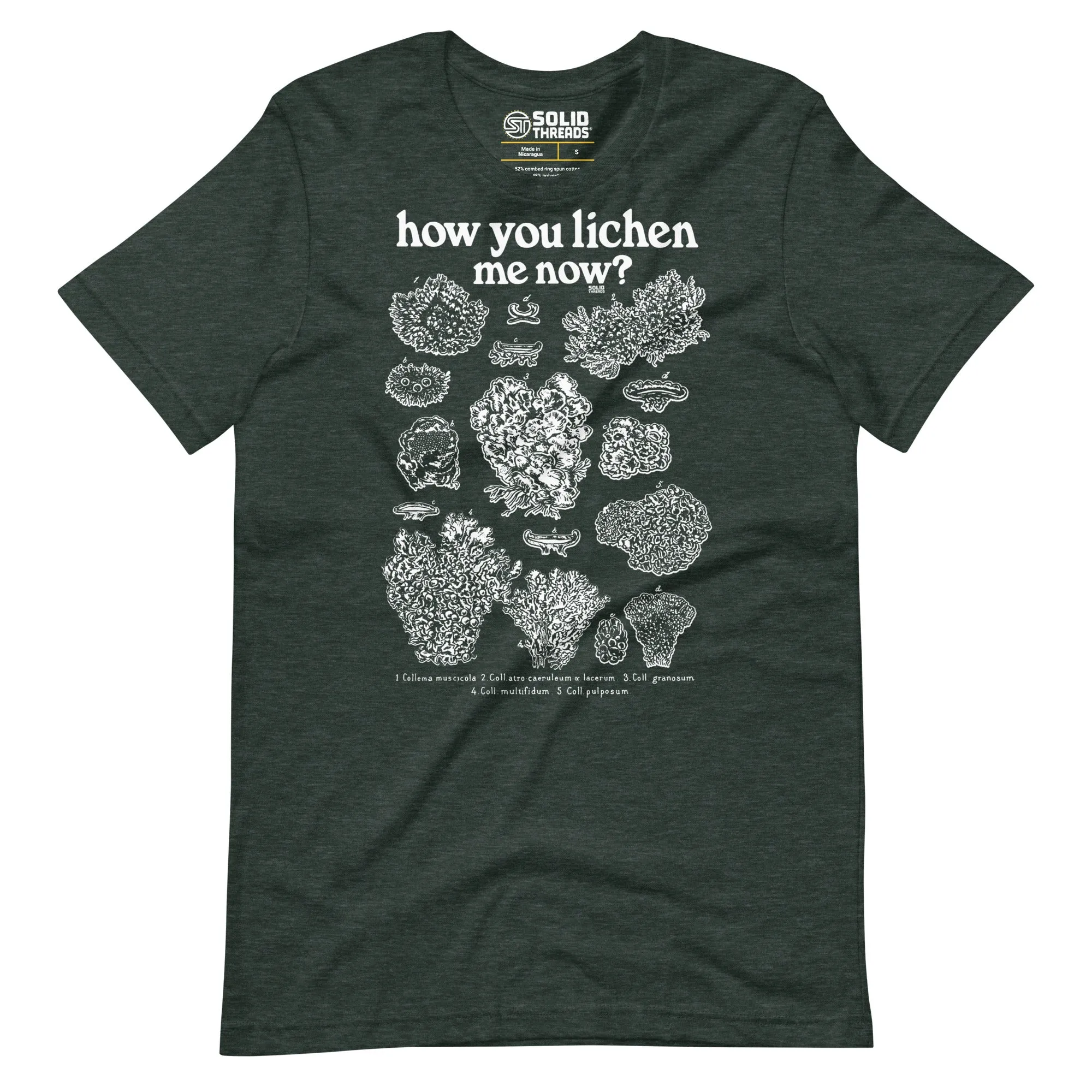How You Lichen Me Now Soft Style T-Shirt