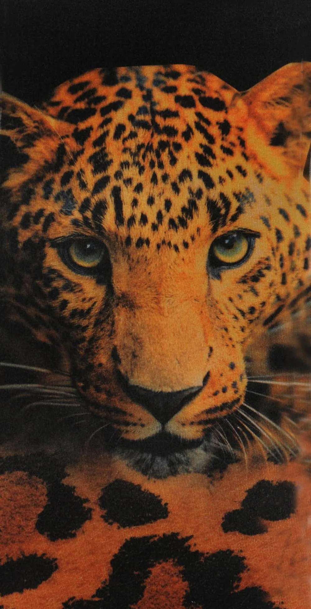 Leopard Over The Knee Footless